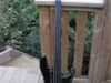 Hohner PJ F1 Fretless de 1997 ? - 350 euros -Etat Neuf avec case. 